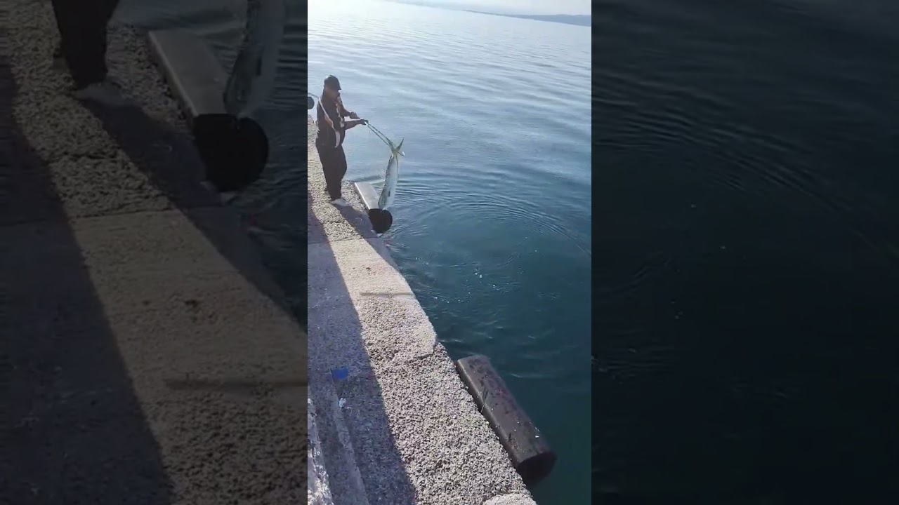 ΨΑΡΕΜΑ ΚΥΝΗΓΟΥ ΜΕ ΠΟΛΥΑΓΓΙΣΤΡΟ Όταν η ατυχία ξεπερνά και το κόκκινο