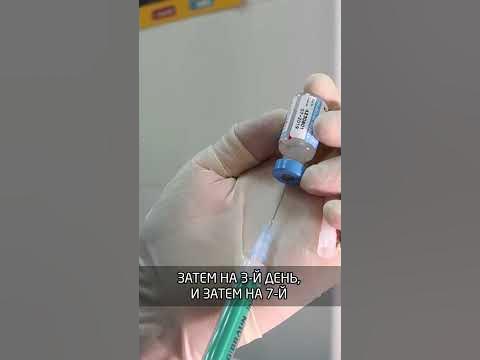 Вакцина от бешенства - YouTube