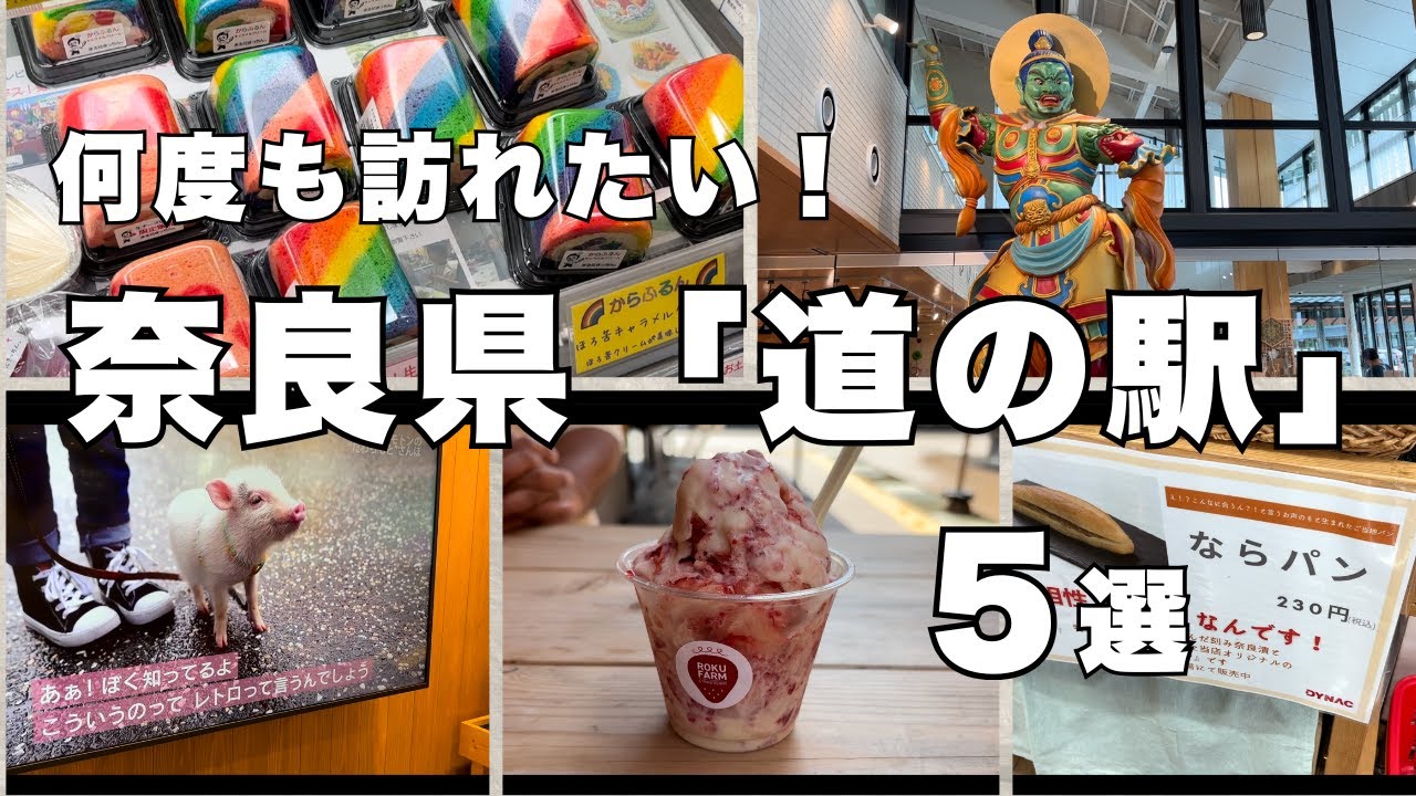 【道の駅】奈良『道の駅』５選〜グルメとRVパークを楽しむ旅〜