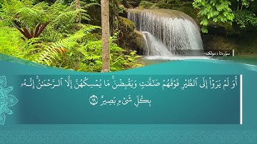 ته فسيرا ب ساناهي سورة(الملك)بدەنگی( تحسین إبراهيم دوسكي) قورئان خوين (محمد صديق المنشاوي)