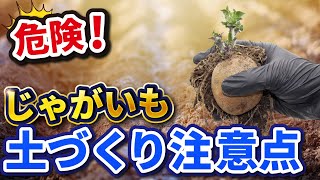 【第5回】じゃがいも栽培→危険！土づくりの注意点【家庭菜園】