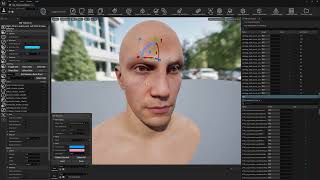 Enhanced RBF Deformer Tool