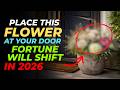 The Front Door Flower That Could Shape Your Fortune In 2026 The Front Door Flower That Could Shape Your Fortune In 2026