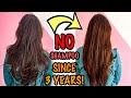 how i wash my hair WITHOUT ANY SHAMPOO since 3 years! No POO HAIR CARE ROUTINE in 2 steps!| Heli Ved