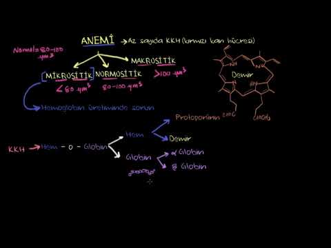 Mikrositik Anemi (Fen Bilimleri)(Sağlık ve Tıp)