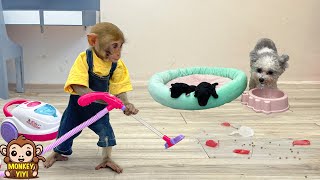 Super smart! Nanny YiYi cleans the room and takes care of the puppies