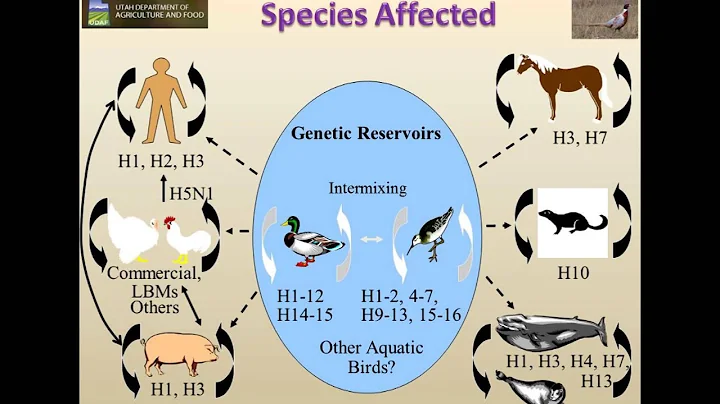 Game Bird Biosecurity Training for High Pathogenic Avian Influenza