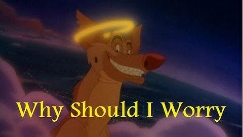 Dogs ~ Why Should I Worry