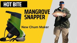 Simple Tips To Chum Up Mangrove Snapper To The Surface - Florida