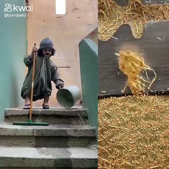 ١٧ يونيو ٢٠٢٥