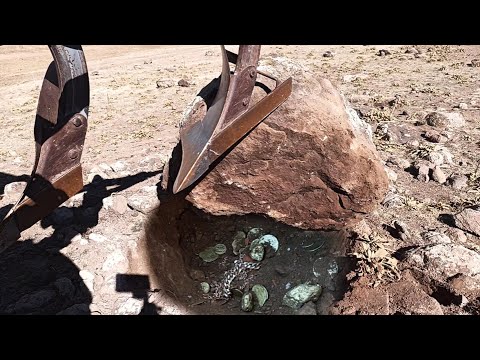 I found treasure with tractor