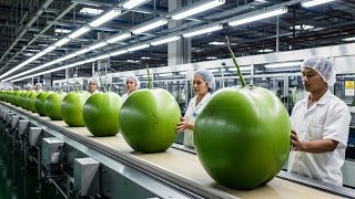 How 1,000,000 Coconuts are Processed: High-Tech Coconut Water Factory! 🥥