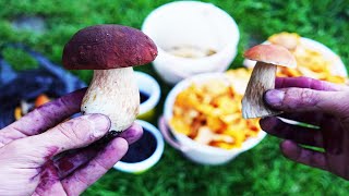 Сколько можно заработать собирая грибы