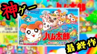 【生放送】続続続続・神ゲーシリーズ最終作「とっとこハム太郎４にじいろ大行進でちゅ」を実況プレイ