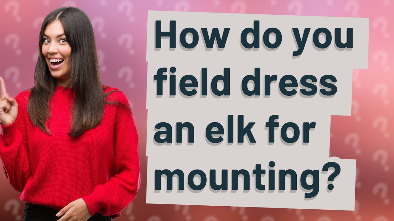 How do you field dress an elk for mounting? YouTube