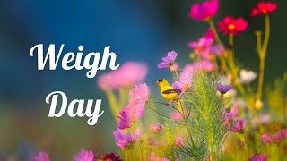 Weigh Day - Week 274 - Chit Chat - 25th of April 2023