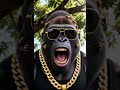the monkey and the bees #seedance #ai