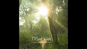 تلاوة عطرة مريحة للنفس والقلب من سورة الإنسان