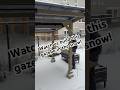 Building a Cedar Gazebo… in the Snow?! Watch This Crazy Fast Transformation!