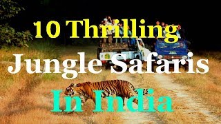 10 Most Thrilling Jungle Safaris In India