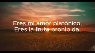 Los Tucanes De Tijuana -Amor Platónico - (Letra)