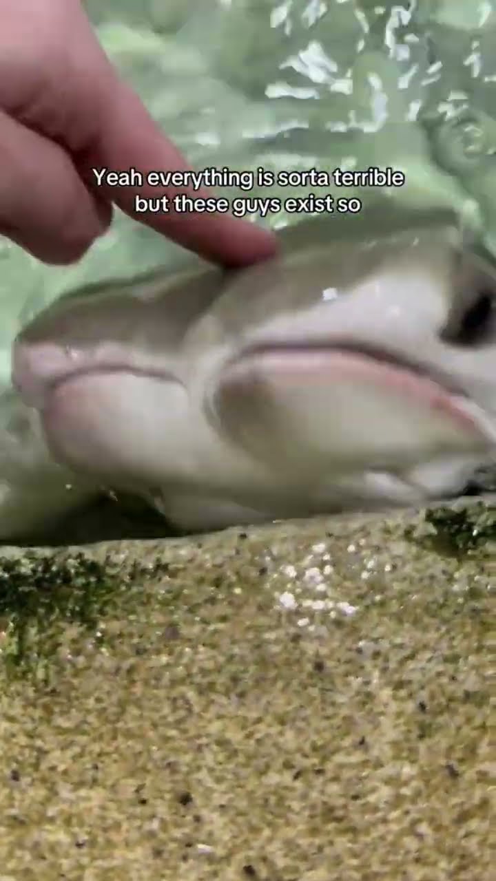 When you got cute little fish on earth