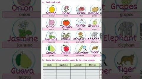 CLASS 2 ENGLISH  LESSON NO 2.2 ACTIVITY TIME