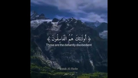 القران الكريم 293