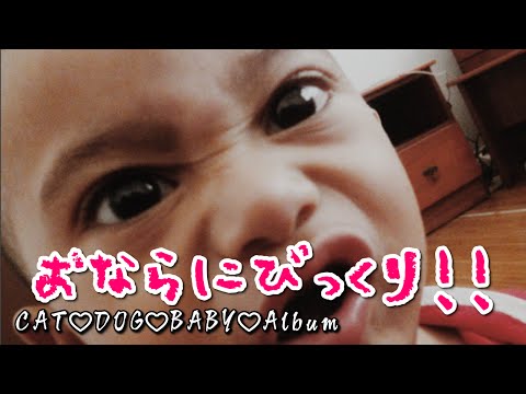 Youtube 人気動画視聴room