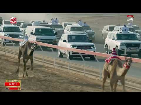 ش 6 سيف الحول اعلان حمد محمد سهيل العامري 9 10 79 مهرجان العين 2025 10 09 الروضة