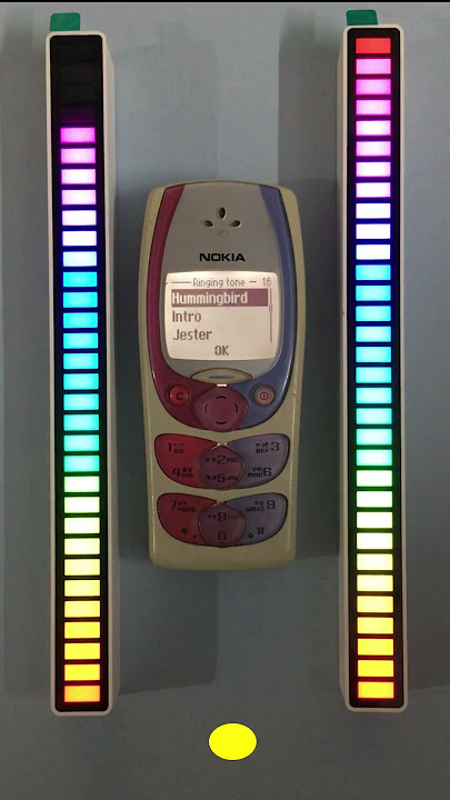 Nokia 2300 Hummingbird ringtone #nokia #hummingbird #shorts #viral #nokia2300