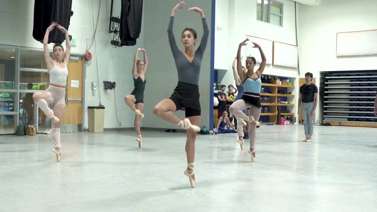 In Conversation with 'Coincident Dances' Choreographer Pam Tanowitz