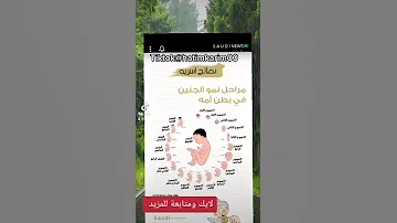 مراحل نمو الجنين في بطن أمه 