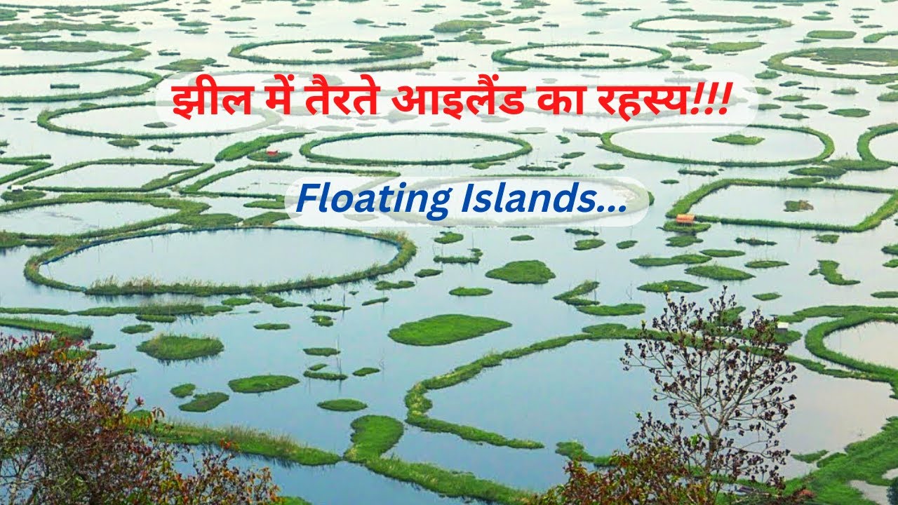 Floating In Hindi And English at Carolyn Teachout blog