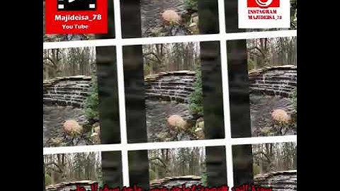 سورة النور# بصوت ماجد عيسى ماجد سيف آل علي