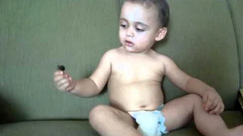 Luiggi brincando com um besouro.MPG