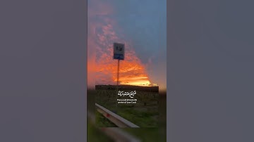 حالات واتس إسلامية جميلة | تلاوات خاشعة | #قران_كريم #holy_quran