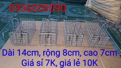 Bán bẫy chuột đồng, bán bẫy chuột đường mòn, bán rập chuột, bán gập chuột. 0936059090.