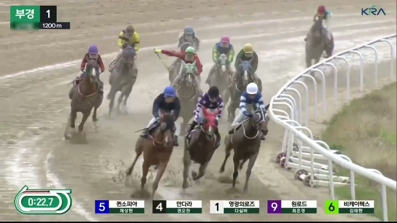초보운전 렛츠런파크 경마장 부경1경주 단승 연승 복승 쌍승 복연승 쌍복승 삼쌍승 기록 #2000