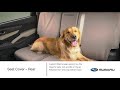 Genuine Subaru Pet-friendly Accessory Highlights