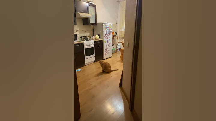 Ленивый кот даже не прыгнул