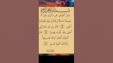 آيات من الذكر الحكيم