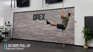 L Sit Rope Pull Up