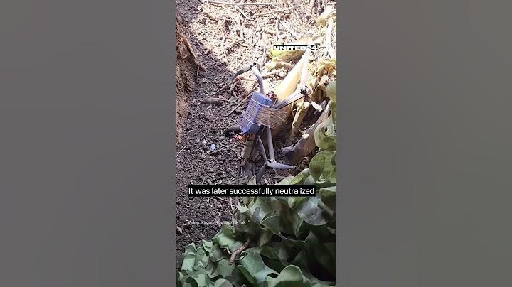 Ukrainian Soldier Finds Russian FPV Drone in His Trench #warinukraine