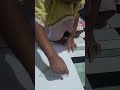 Mewarnai semangka dengan cutton bud