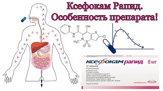 Ксефокам Рапид. Особенность лекарственной формы