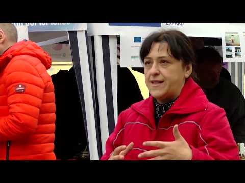 ევროპის დღე -  2018, მარნეული