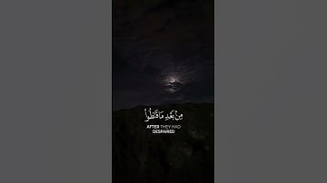 القرآن الكريم { سورة الشورى }