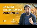 Böceğin Rızka Tevekkülü - Biri Bir Gün - B19 | Serdar Tuncer