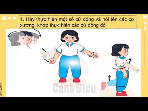 TNXH Bài 14: